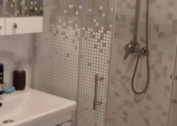 Apartmant Novakovic *